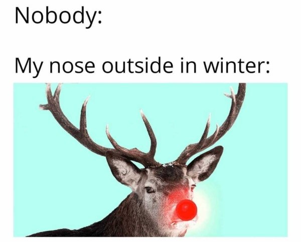 rudolph - Nobody My nose outside in winter