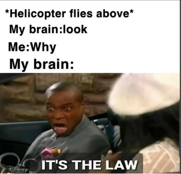 blend in with the humans meme - Helicopter flies above My brainlook MeWhy My brain It'S The Law