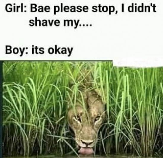 award winning stunning wildlife photography - Girl Bae please stop, I didn't shave my.... Boy its okay