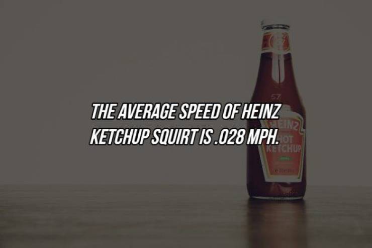 beer bottle - The Average Speed Of Heinz Min Ketchup Squirt Is .028 Mph. Ketchup