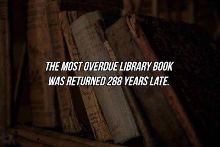 texture - The Most Overdue Library Book Was Returned 288 Years Late.