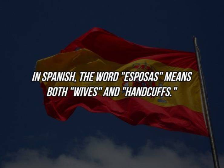 flag - In Spanish. The Word "Esposas" Means Both "Wives" And "Handcuffs."