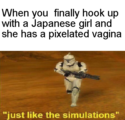 crush rejection best memes - When you finally hook up with a Japanese girl and she has a pixelated vagina "just the simulations"