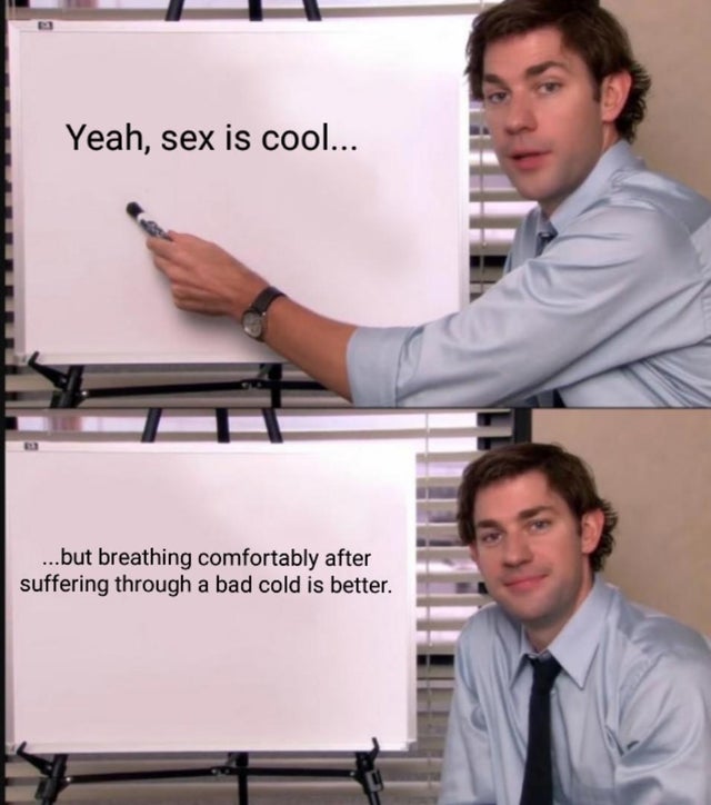 office quotes - Yeah, sex is cool... ...but breathing comfortably after suffering through a bad cold is better.