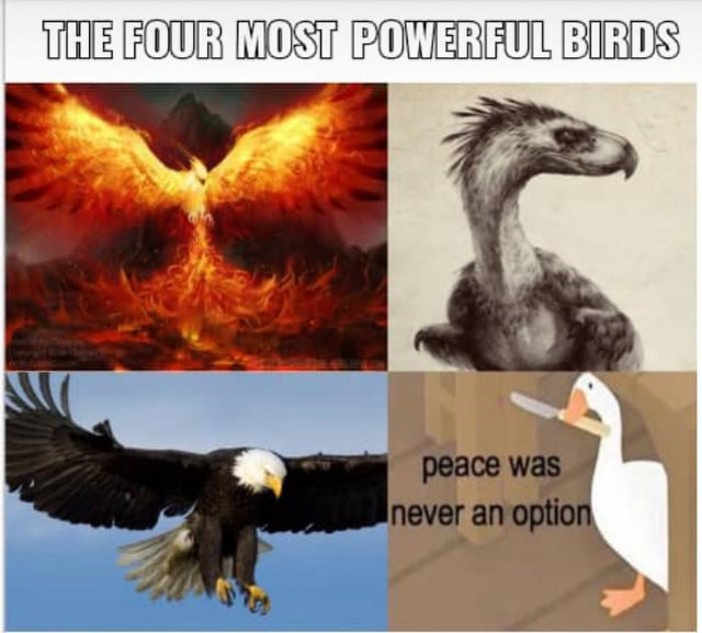 fauna - The Four Most Powerful Birds peace was never an option