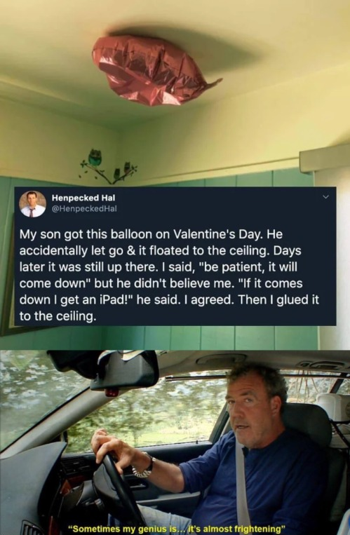 top gear memes - Herpecked Hat tenpecked My son got this balloon on Valentine's Day. He accidentally let go & it floated to the ceiling. Days later it was still up there. I said, "be patient, it will come down" but he didn't believe me. "If it comes down 