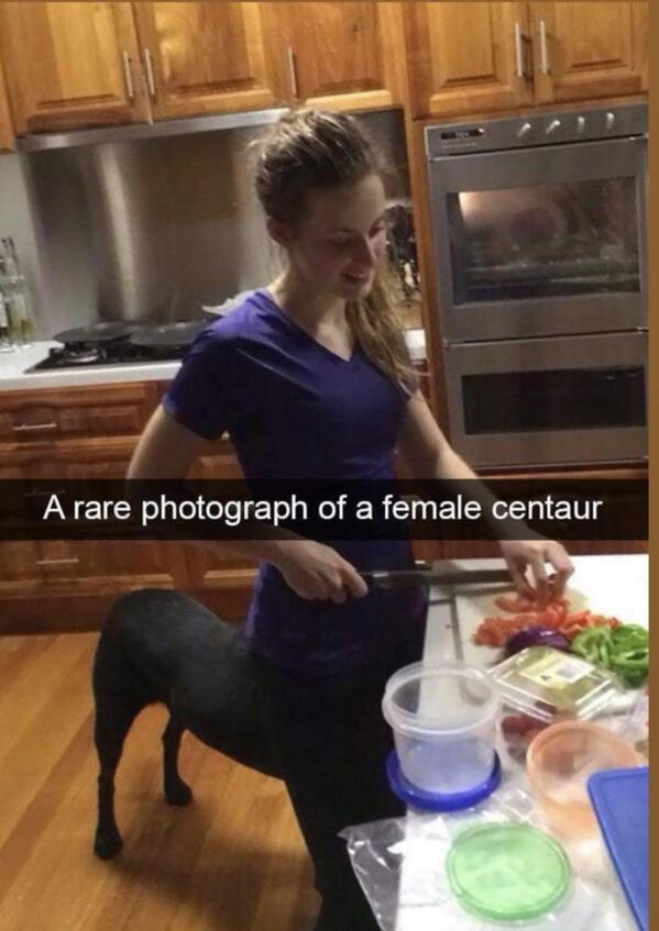 funny optical illusions - A rare photograph of a female centaur