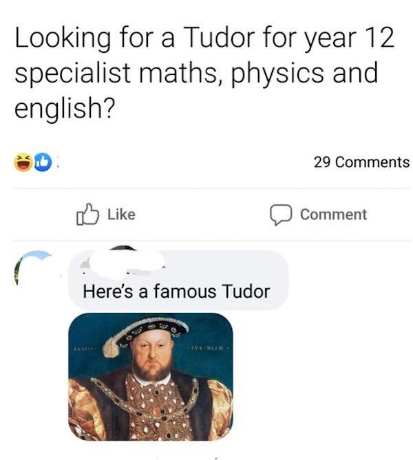 king henry viii - Looking for a Tudor for year 12 specialist maths, physics and english? id 29 Comment Here's a famous Tudor Velix