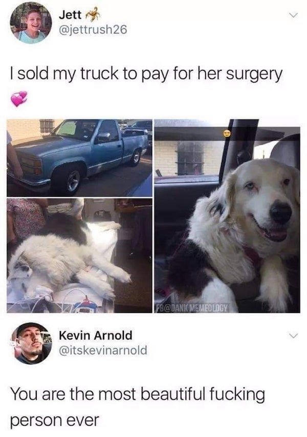 wholesome memes animals - Jetty 26 I sold my truck to pay for her surgery Fb Memeology Kevin Arnold You are the most beautiful fucking person ever