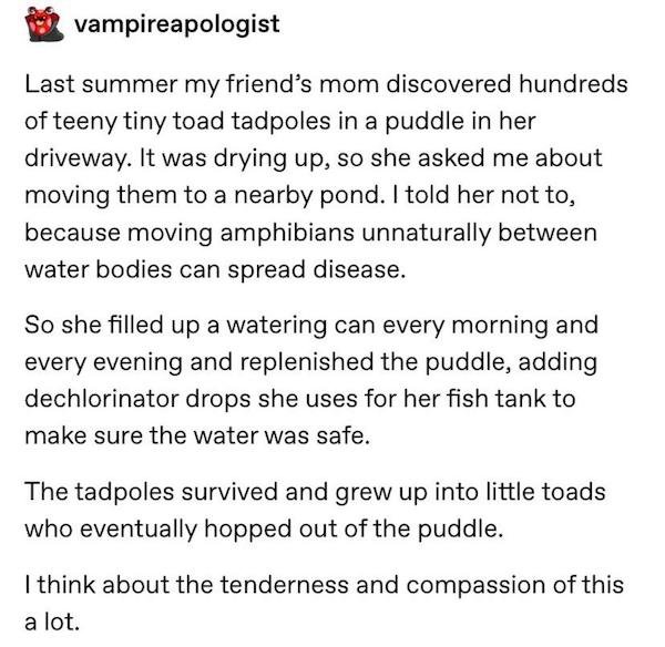 document - vampireapologist Last summer my friend's mom discovered hundreds of teeny tiny toad tadpoles in a puddle in her driveway. It was drying up, so she asked me about moving them to a nearby pond. I told her not to, because moving amphibians unnatur