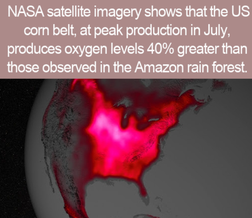 wasn t that drunk - Nasa satellite imagery shows that the Us corn belt, at peak production in July, produces oxygen levels 40% greater than those observed in the Amazon rain forest.
