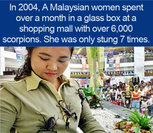 In 2004, A Malaysian women spent over a month in a glass box at a shopping mall with over 6,000 scorpions. She was only stung 7 times. Ue