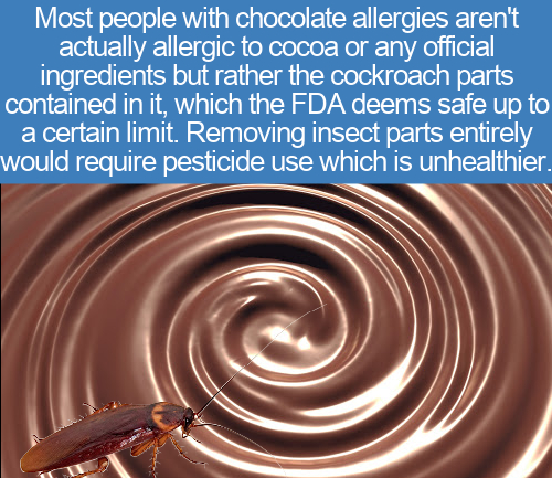 frases de mulheres - Most people with chocolate allergies aren't actually allergic to cocoa or any official ingredients but rather the cockroach parts contained in it, which the Fda deems safe up to a certain limit. Removing insect parts entirely would re