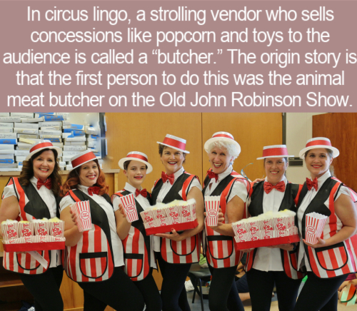 team - In circus lingo, a strolling vendor who sells concessions popcorn and toys to the audience is called a butcher. The origin story is that the first person to do this was the animal meat butcher on the Old John Robinson Show.