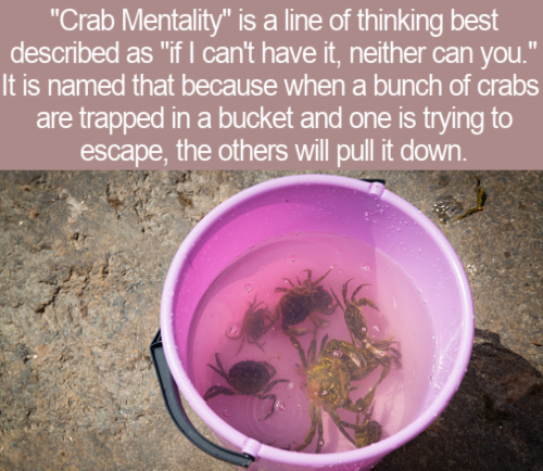 "Crab Mentality" is a line of thinking best described as "if I can't have it, neither can you." It is named that because when a bunch of crabs are trapped in a bucket and one is trying to escape, the others will pull it down.