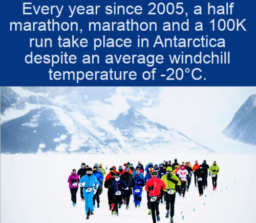 arctic - Every year since 2005, a half marathon, marathon and a run take place in Antarctica despite an average windchill temperature of 20C.