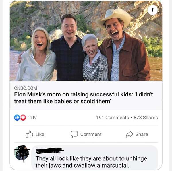 elon musk family - On Gu Cnbc.Com Elon Musk's mom on raising successful kids 'I didn't treat them babies or scold them 11K 191 . 878 Comment They all look they are about to unhinge their jaws and swallow a marsupial.