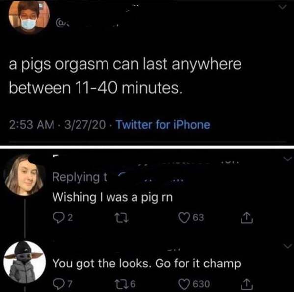 screenshot - a pigs orgasm can last anywhere between 1140 minutes. 32720 Twitter for iPhone ing t Wishing I was a pig rn 27 63 2 You got the looks. Go for it champ 97 126 630