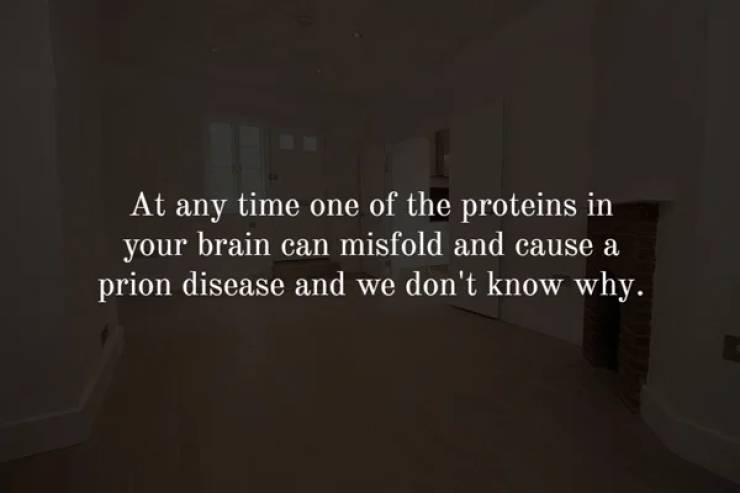 photograph - At any time one of the proteins in your brain can misfold and cause a prion disease and we don't know why.