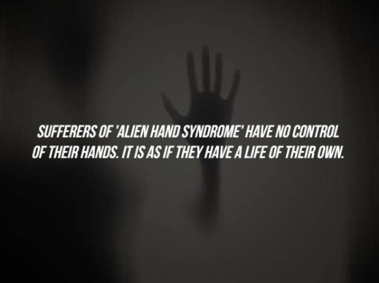 darkness - Sufferers Of 'Alien Hand Syndrome' Have No Control Of Their Hands. It Is As If They Have A Life Of Their Own.