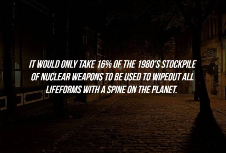 gumout - It Would Only Take 16% Of The 1980'S Stockpile Of Nuclear Weapons To Be Used To Wipeout All Lifeforms With A Spine On The Planet.