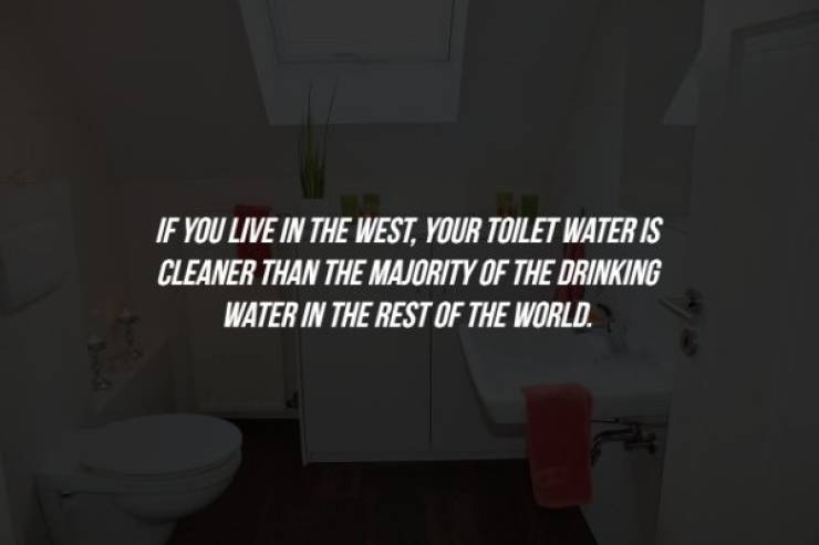 room - If You Live In The West, Your Toilet Water Is Cleaner Than The Majority Of The Drinking Water In The Rest Of The World.