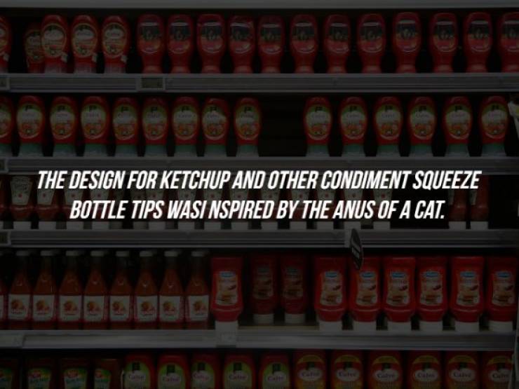 Ketchup - The Design For Ketchup And Other Condiment Squeeze Bottle Tips Wasi Nspired By The Anus Of A Cat.