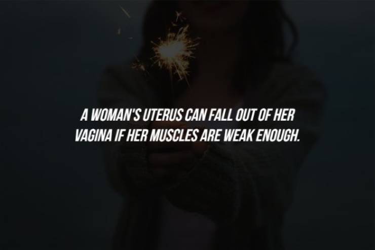darkness - A Woman'S Uterus Can Fall Out Of Her Vagina If Her Muscles Are Weak Enough.