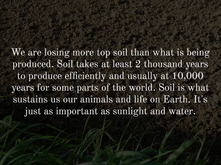 grass - We are losing more top soil than what is being produced. Soil takes at least 2 thousand years to produce efficiently and usually at 10,000 years for some parts of the world. Soil is what sustains us our animals and life on Earth. It's just as impo