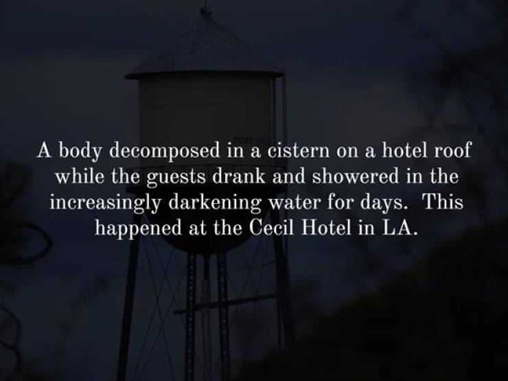 sky - A body decomposed in a cistern on a hotel roof while the guests drank and showered in the increasingly darkening water for days. This happened at the Cecil Hotel in La.