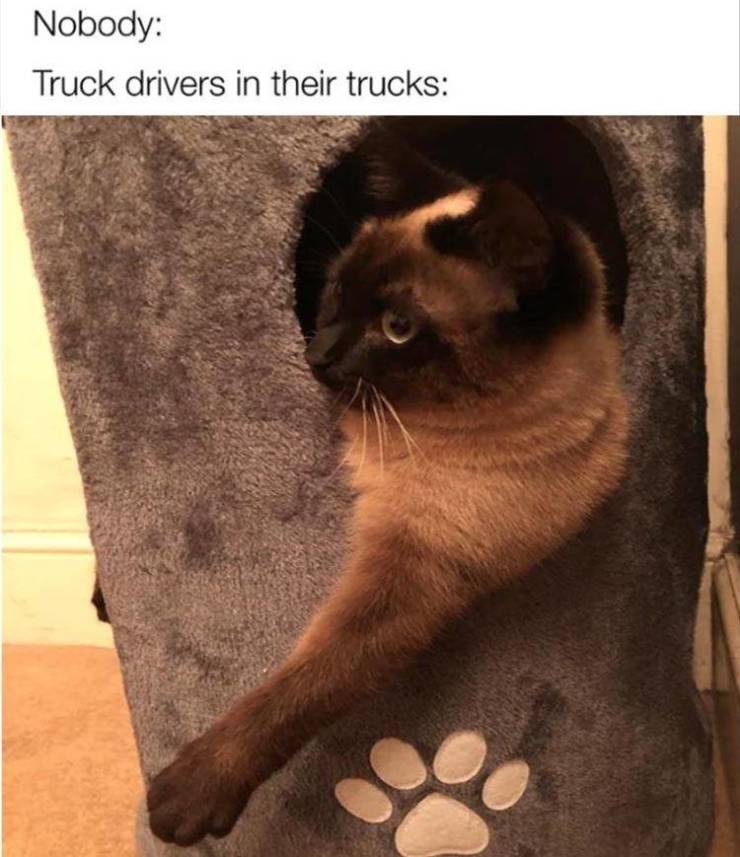 photo caption - Nobody Truck drivers in their trucks