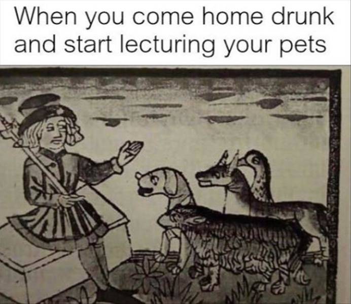 medieval fail meme - When you come home drunk and start lecturing your pets