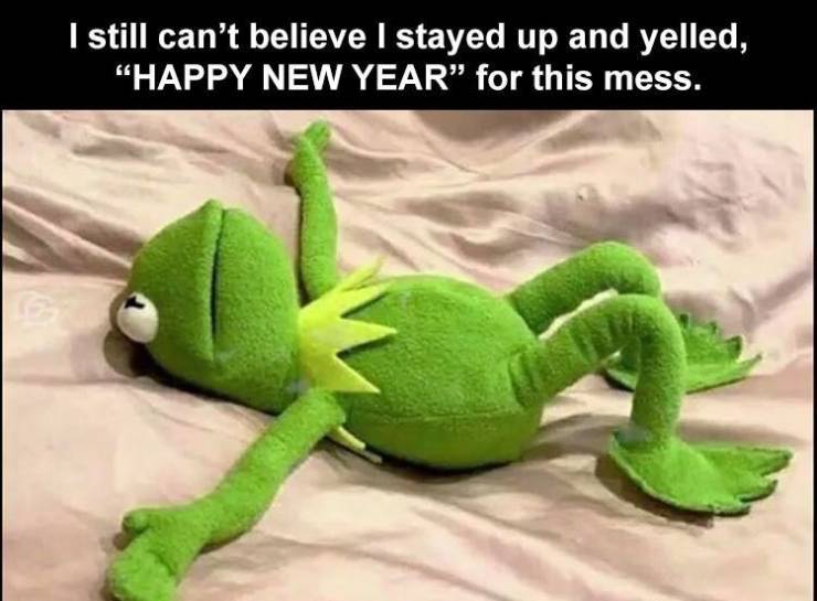 kermit daylight savings meme - I still can't believe I stayed up and yelled, Happy New Year for this mess.