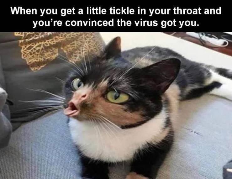 photo caption - When you get a little tickle in your throat and you're convinced the virus got you.