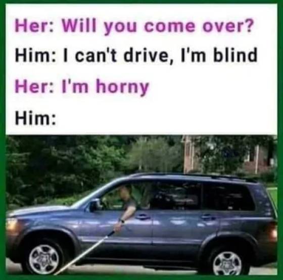 baby im home alone meme - Her Will you come over? Him I can't drive, I'm blind Her I'm horny Him