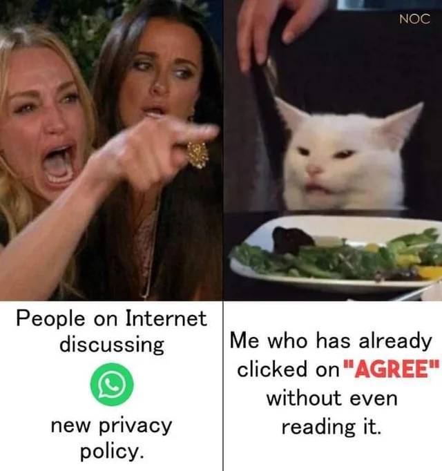 woman pointing at cat meme template - Noc People on Internet discussing Me who has already clicked on "Agree" without even reading it. new privacy policy.