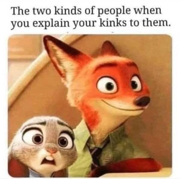 kinky meme funny - The two kinds of people when you explain your kinks to them.