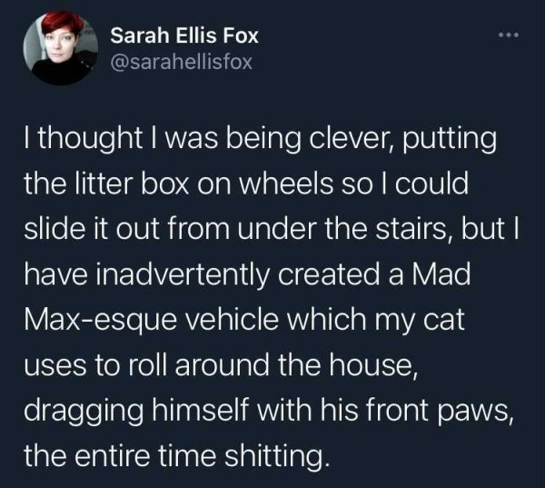 funny random pics - boys will be boys slip n slide - Sarah Ellis Fox I thought I was being clever, putting the litter box on wheels so I could slide it out from under the stairs, but I have inadvertently created a Mad Maxesque vehicle which my cat uses to