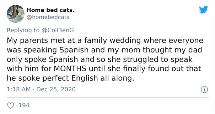 funny compilation twitter - Home bed cats. My parents met at a family wedding where everyone was speaking Spanish and my mom thought my dad only spoke Spanish and so she struggled to speak with him for Months until she finally found out that he spoke perf