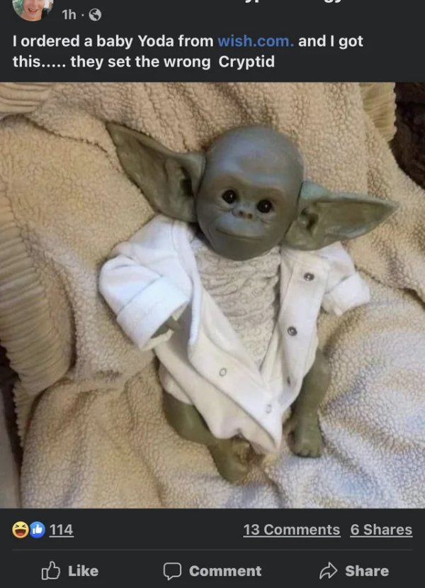 baby yoda funny - 1h. I ordered a baby Yoda from wish.com. and I got this..... they set the wrong Cryptid 114 13 6 0 Comment