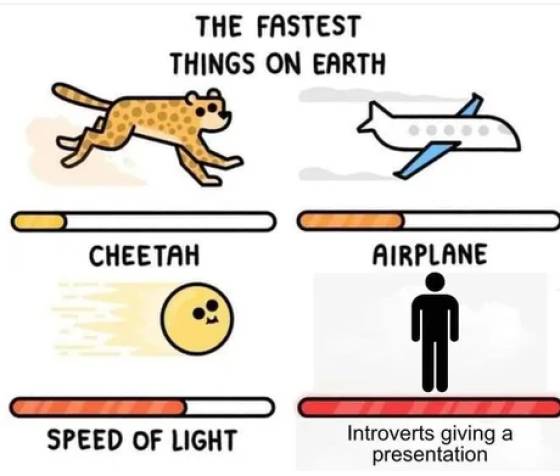 Internet meme - The Fastest Things On Earth Cheetah Airplane Speed Of Light Introverts giving a presentation