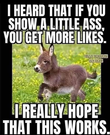 funny memes - I Heard That If You Show A Little Ass You Get More like And Jokes Really Hope That This Works.