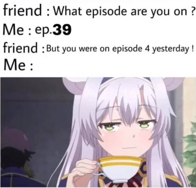 funny memes - smug neko anime - friend What episode are you on? Me ep. 39 friend But you were on episode 4 yesterday ! Me