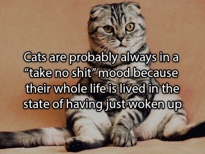 20 Shower Thoughts To Get You Thinking