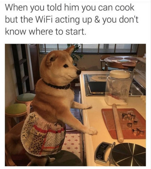 shiba inu cook - When you told him you can cook but the WiFi acting up & you don't know where to start.