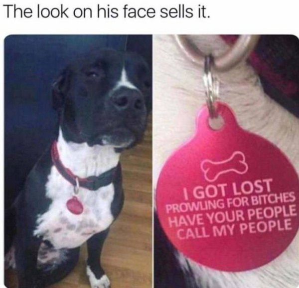 have your people call my people dog - The look on his face sells it. I Got Lost Prowling For Bitches Have Your People Call My People