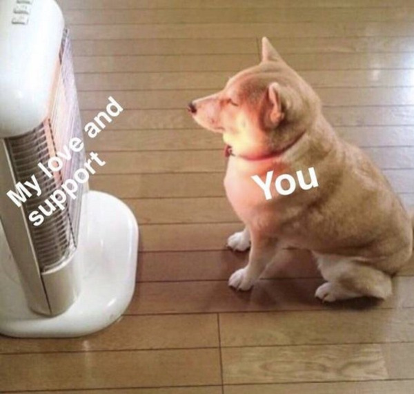 dog heater meme - You My love and support