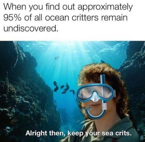 alright then keep your sea crits - When you find out approximately 95% of all ocean critters remain undiscovered. Alright then, keep your sea crits.