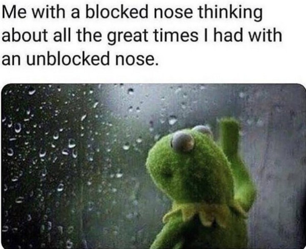 cold weather funny winter memes - Me with a blocked nose thinking about all the great times I had with an unblocked nose.