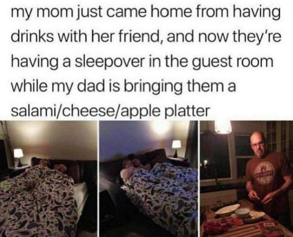 wholesome dad memes - my mom just came home from having drinks with her friend, and now they're having a sleepover in the guest room while my dad is bringing them a salamicheeseapple platter